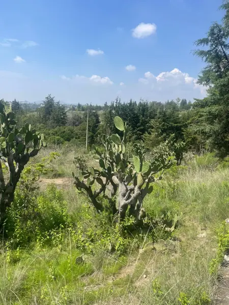 Terreno en venta en Club Virreyes, Tepotzotlán — foto 3 de 7