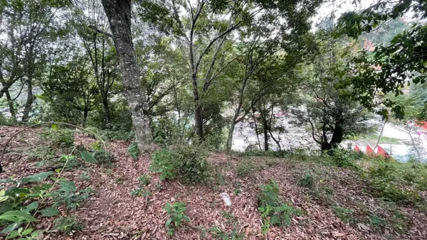 Terreno en venta en Insurgentes, Xalapa — foto 3 de 9