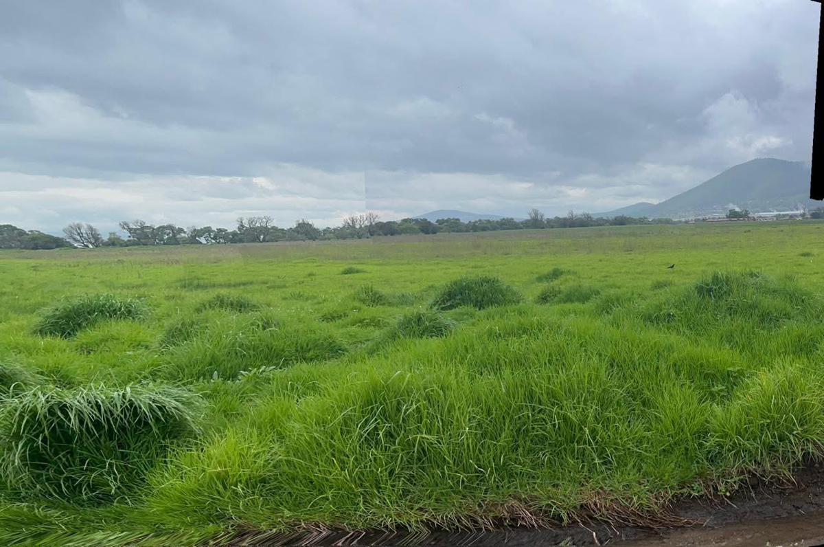 Terreno en venta en Las Mercedes, Atlacomulco — foto 1 de 3