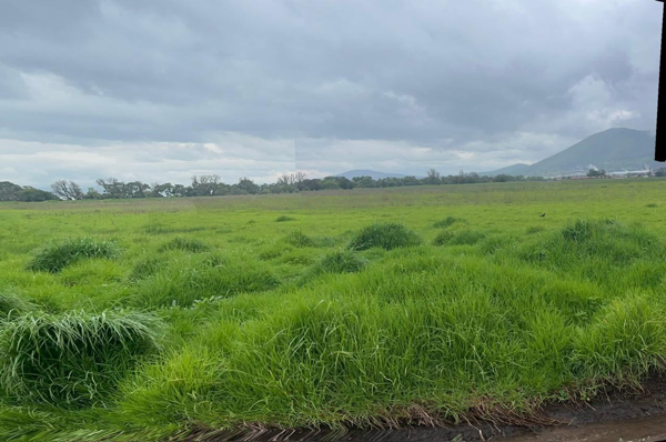TERRENO USO DE SUELO MIXTO H250A EN ATLACOMULCO CERCA DE ESCUELAS HOSPITALES Y CENTRAL DE ABASTOS