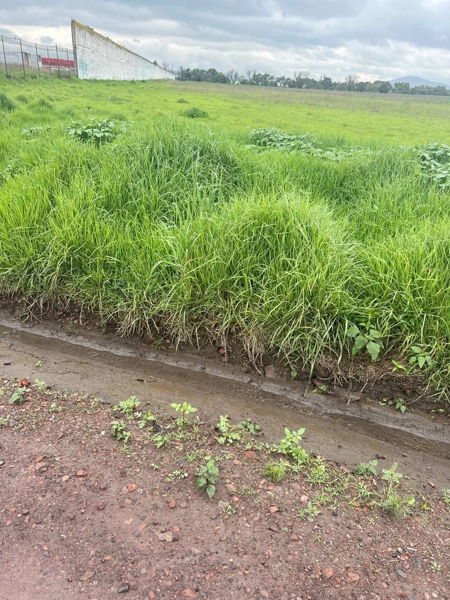 Terreno en venta en Las Mercedes, Atlacomulco — foto 3 de 3