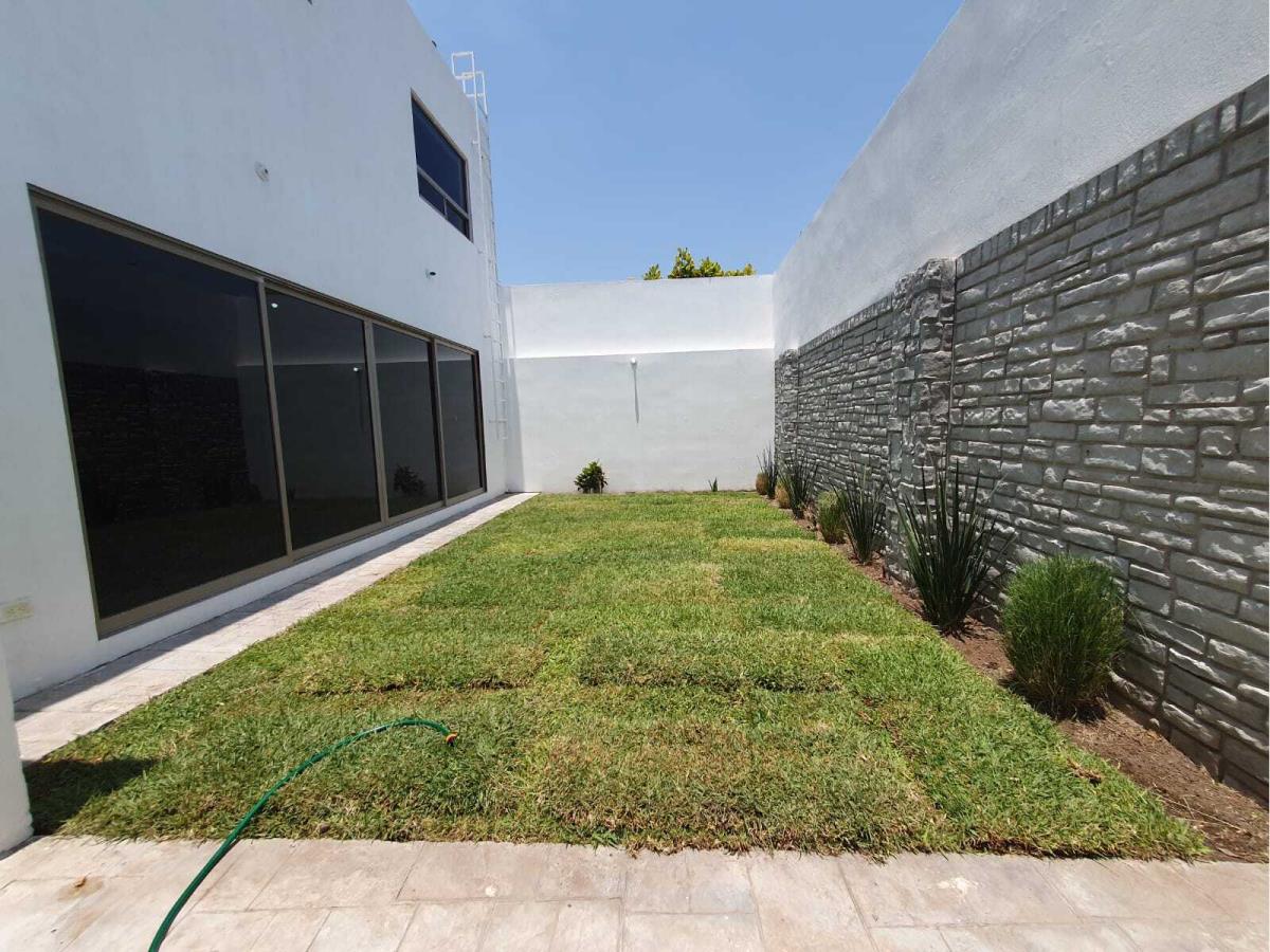 Imagen 5