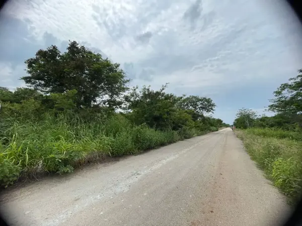 Terreno en venta en Dzitya, Mérida — foto 2 de 6