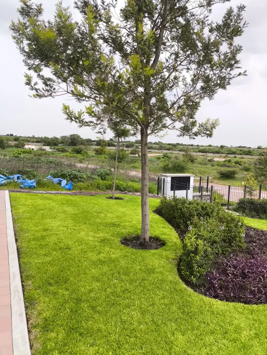 Terreno en venta en Puerta de San Rafael, Corregidora — foto 1 de 14