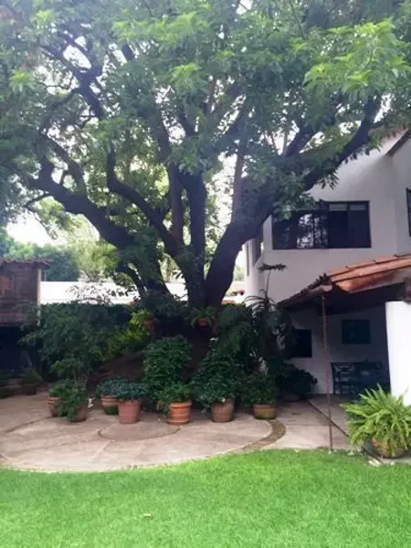 Casa en venta en Tlacopac, Álvaro Obregón — foto 2 de 11