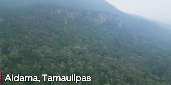 Terreno en venta en Aldama, Aldama, Tamaulipas