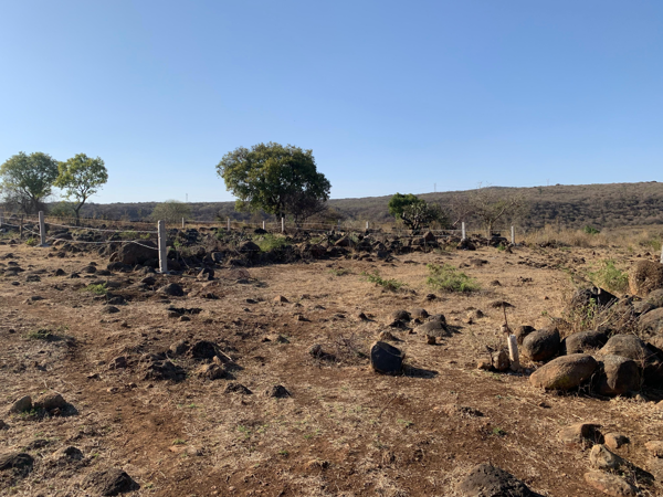Terreno en venta en La Penca, Panindícuaro — foto 3 de 11