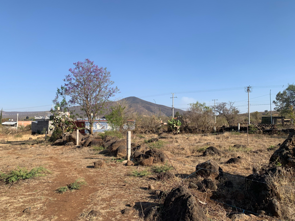 Terreno en venta en La Penca, Panindícuaro — foto 2 de 11