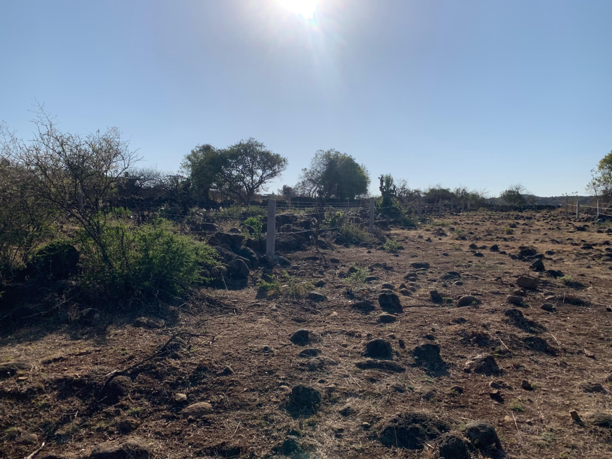 Terreno en venta en La Penca, Panindícuaro — foto 1 de 11