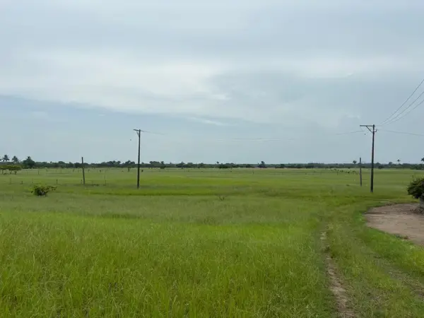 Terreno en Venta
La Vigueta, Tecolutla, Ver.
