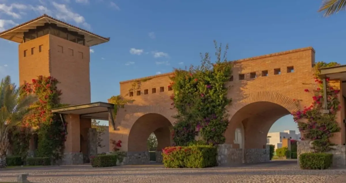 TERRENOS EN VENTA EN LA GRAN VINÍCOLA TERRENOS EN VENTA EN LA GRAN VINÍCOLA