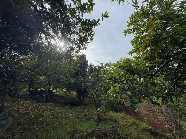 Terreno en venta en Huandacuca (Mariana), Jiménez — foto 2 de 19