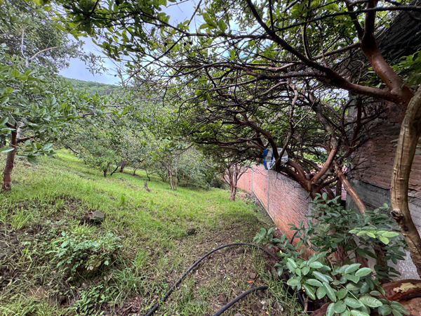 Terreno en venta en Huandacuca (Mariana), Jiménez — foto 3 de 19