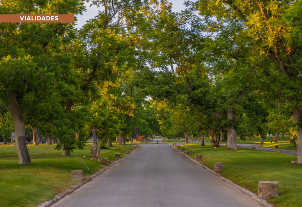 Terreno en venta en Parras de la Fuente Centro, Parras — foto 2 de 11