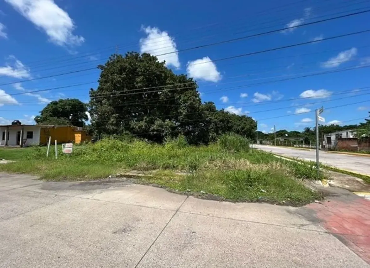 Terreno en renta en Tolome, Paso de Ovejas — foto 1 de 5