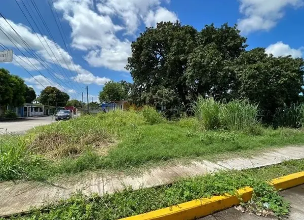 Terreno en renta en Tolome, Paso de Ovejas — foto 2 de 5
