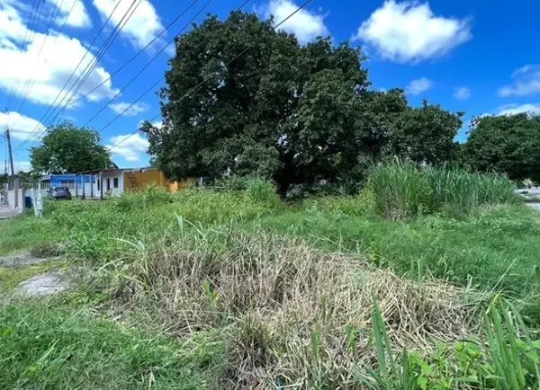 Terreno en renta en Tolome, Paso de Ovejas — foto 3 de 5