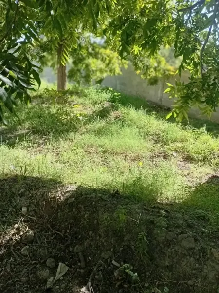 Terreno en venta en Parras de la Fuente Centro, Parras — foto 2 de 4