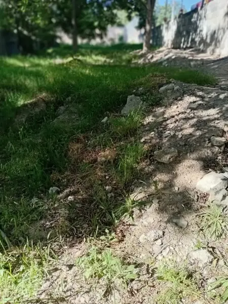Terreno en venta en Parras de la Fuente Centro, Parras — foto 3 de 4