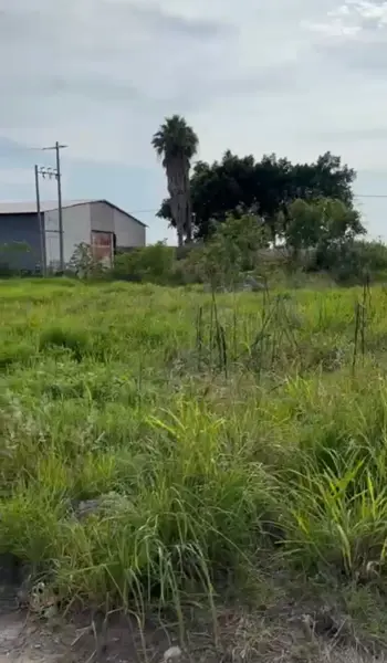Terreno en venta en La Concha, Tlajomulco de Zúñiga — foto 2 de 10