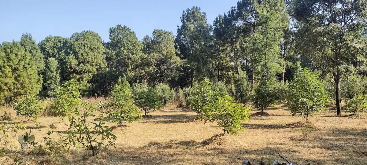 Terreno en venta en Avandaro, Valle de Bravo — foto 1 de 5