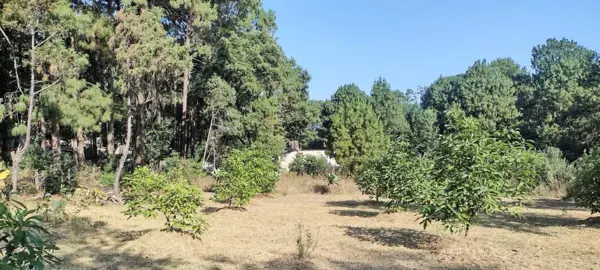 Terreno en venta en Avandaro, Valle de Bravo — foto 2 de 5