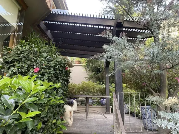 Casa en renta en Santa Fe La Loma, Álvaro Obregón — foto 2 de 14