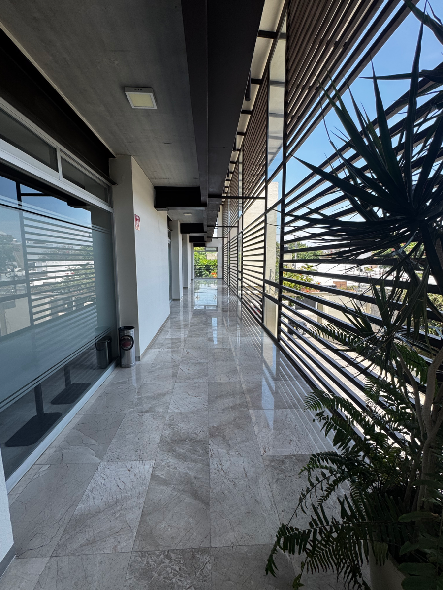 Oficina en renta en Vista Hermosa, Cuernavaca — foto 1 de 11