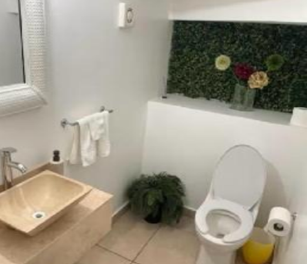 Casa en venta en Rodeo de la Punta, Tepic — foto 3 de 8