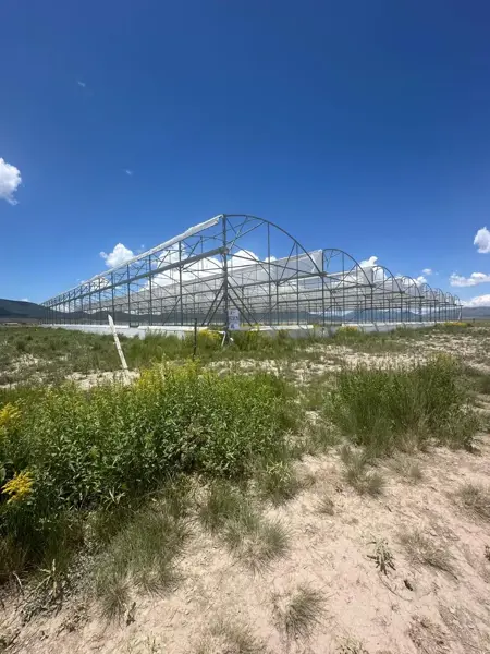 Terreno en venta en San Juanito (San Juanito de los Valdez), Arteaga — foto 2 de 5