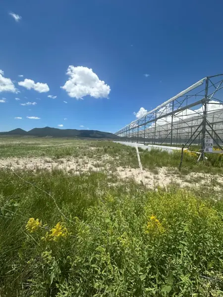 Terreno en venta en San Juanito (San Juanito de los Valdez), Arteaga — foto 3 de 5