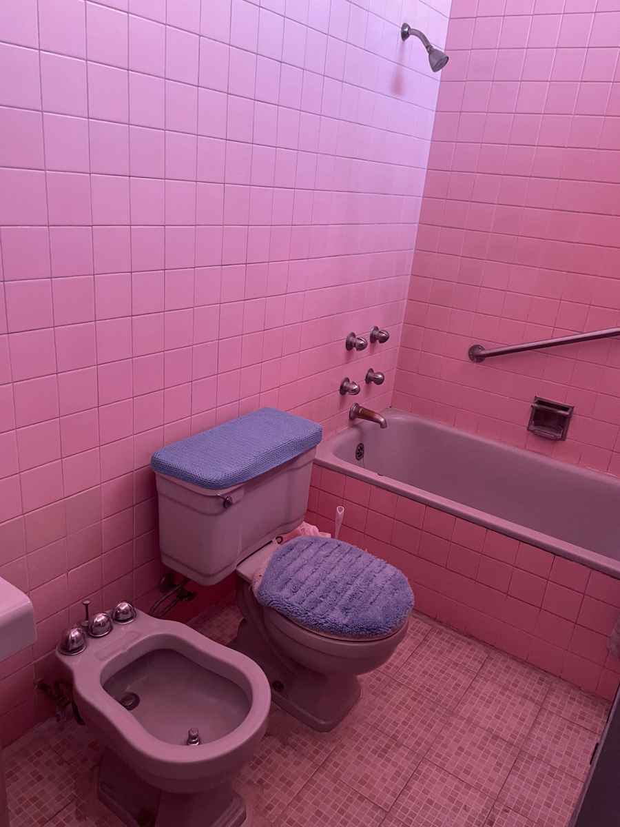 Casa en venta en Irrigacion, Miguel Hidalgo — foto 1 de 16