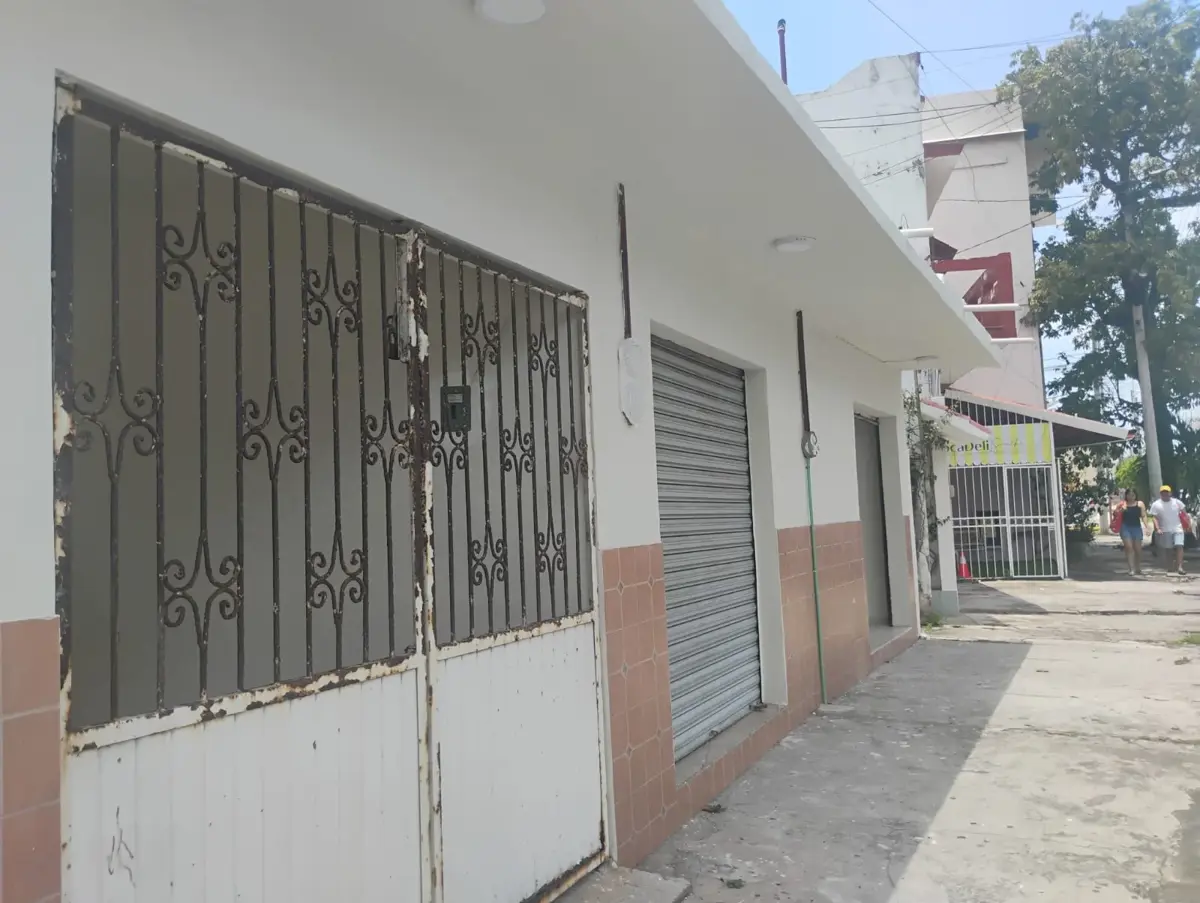Imagen 2