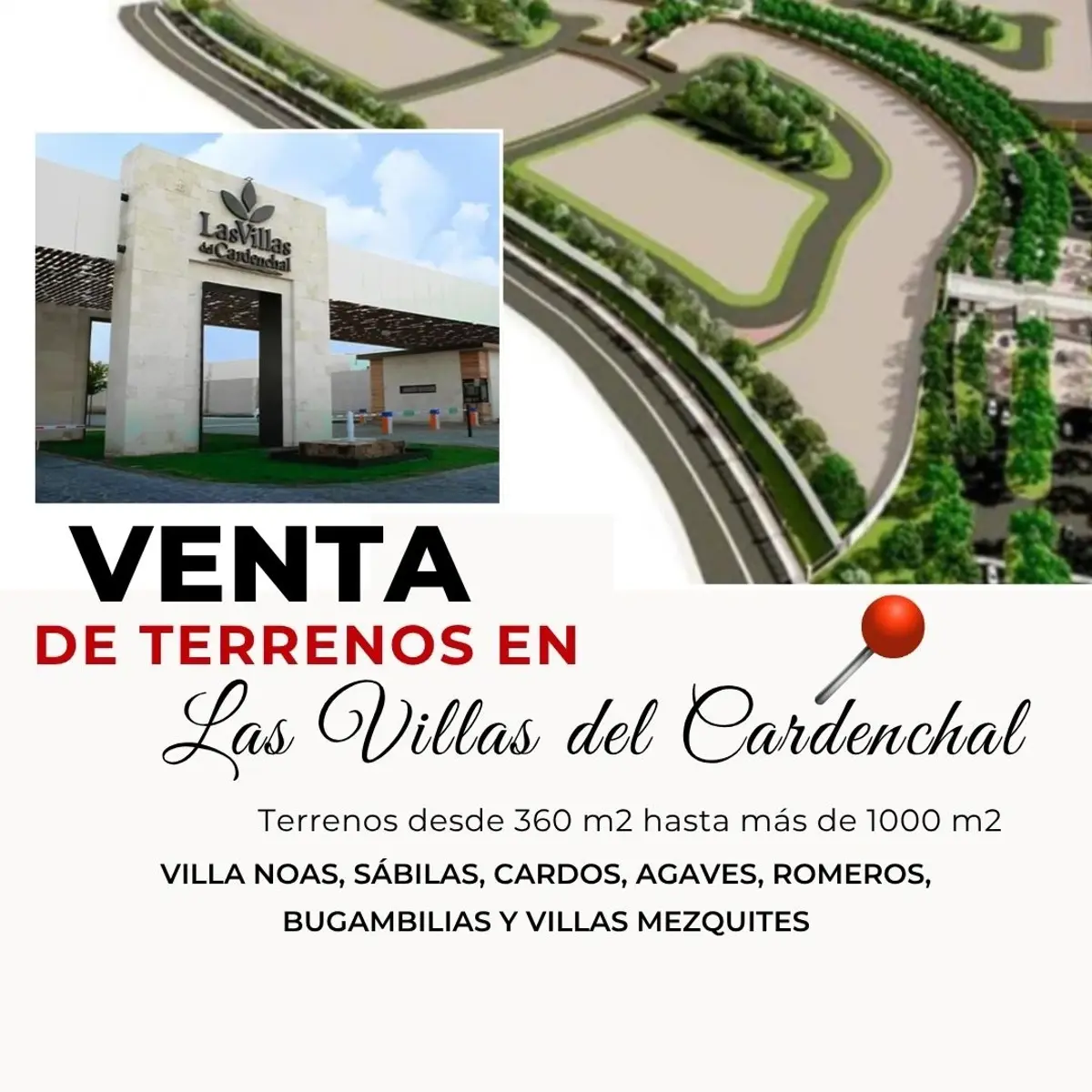 Terreno en venta en El Cardenchal, Torreón — foto 1 de 8