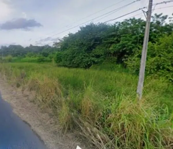Terreno en venta en Mata Cabestro (La Víbora), Tlalixcoyan — foto 3 de 4