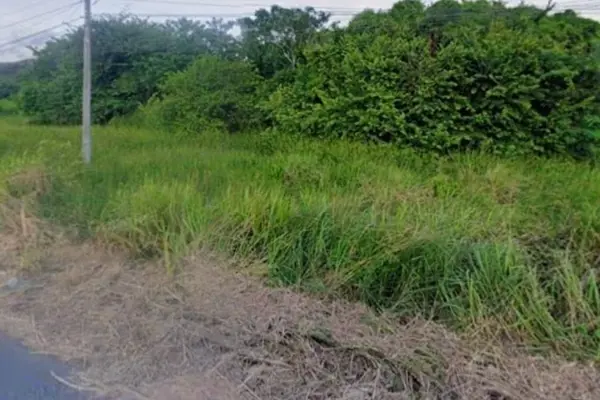 Terreno en venta en Mata Cabestro (La Víbora), Tlalixcoyan — foto 2 de 4