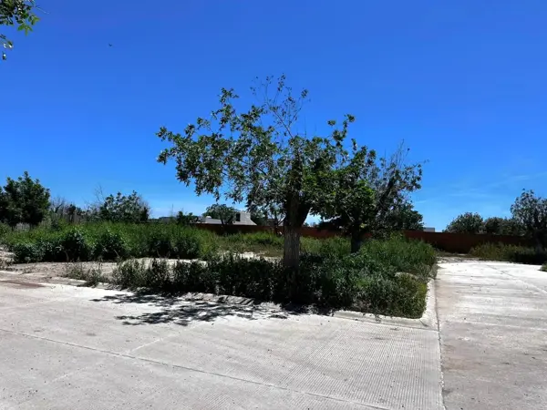 Terreno en venta en La Barranca, Torreón — foto 3 de 4