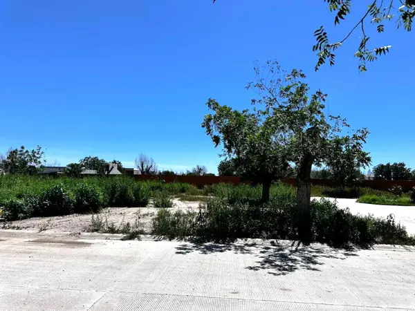 Terreno en venta en La Barranca, Torreón — foto 2 de 4