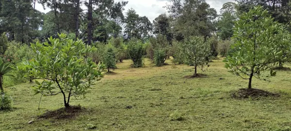 Terreno en venta en Avandaro, Valle de Bravo — foto 3 de 4