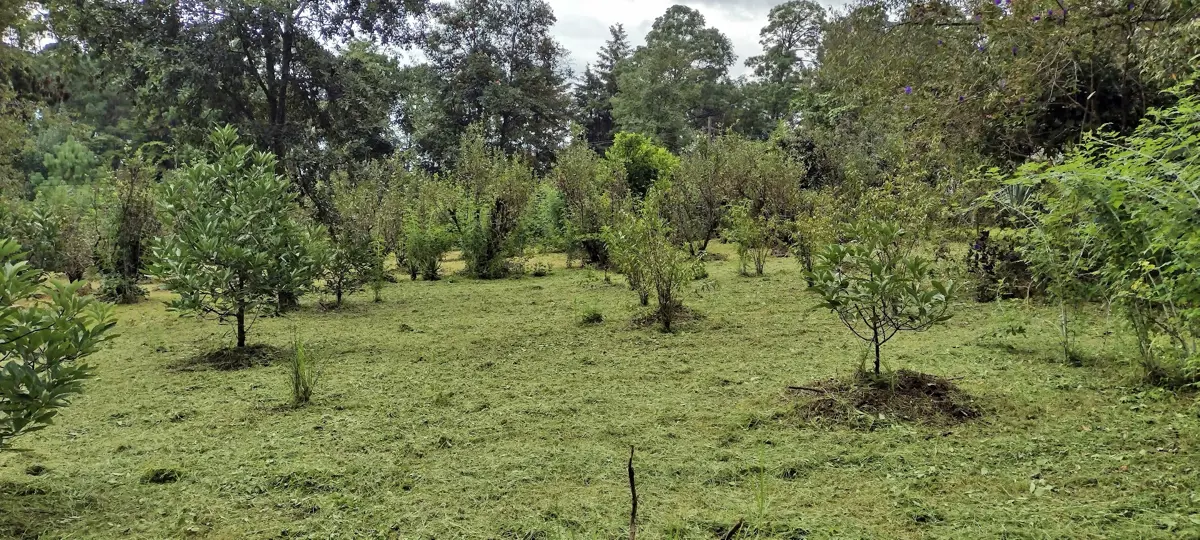 Terreno en venta en Avandaro, Valle de Bravo — foto 1 de 4