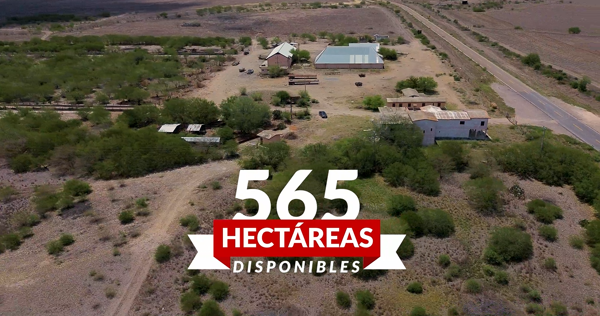 Rancho en Venta – "El Ruidoso" 565 Hectáreas de Producción y Potencial