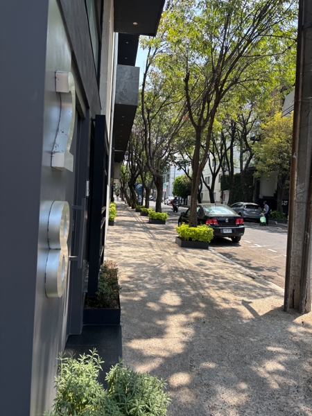 Apartamento en San José Insurgentes con amplio roof garden a la venta