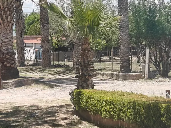Terreno en venta en El Vergel, Gómez Palacio — foto 3 de 36