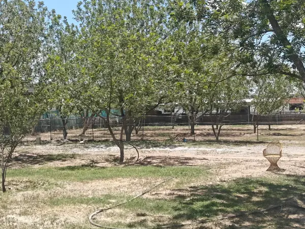 Terreno en venta en El Vergel, Gómez Palacio — foto 2 de 36