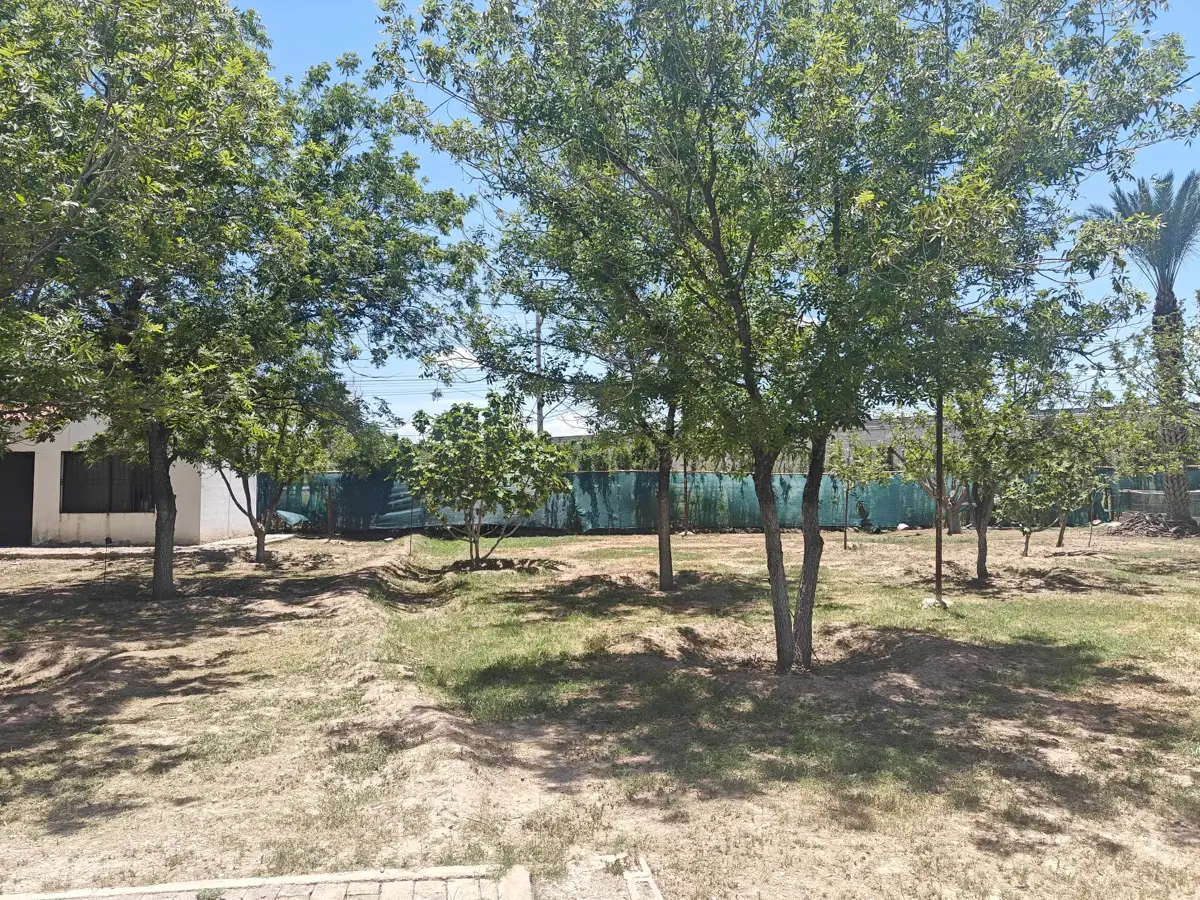 Terreno en venta en El Vergel, Gómez Palacio — foto 1 de 36