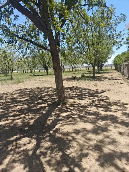 Terreno en venta en El Vergel, Gómez Palacio — foto 3 de 4