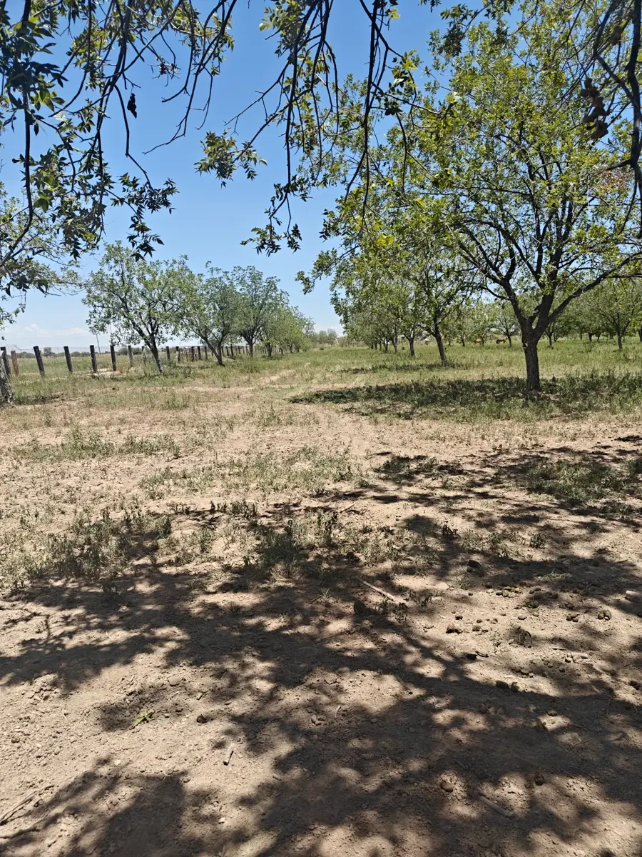 Terreno en venta en El Vergel, Gómez Palacio — foto 1 de 4