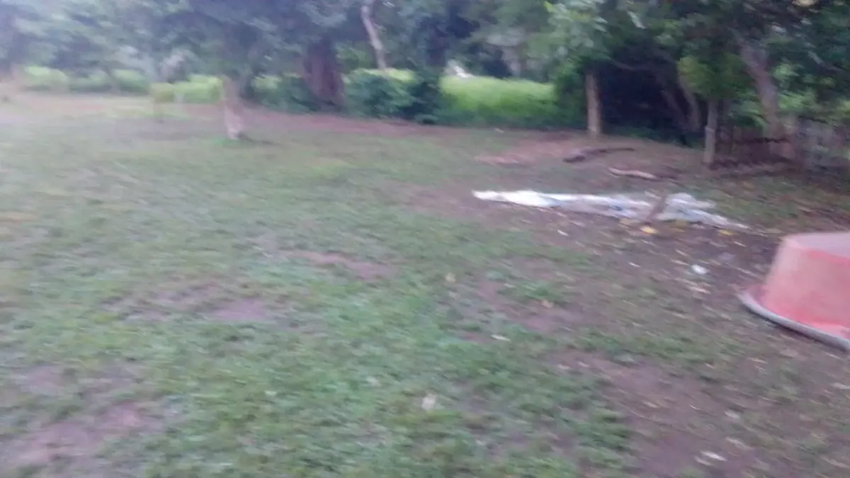 TERRENO ORILLA RIO EN LA BOCANA MEDELLIN, VERACRUZ. MUY CERCA DEL COLEGIO GREEN OAKS 1500m2 TERRENO ORILLA RIO EN LA BOCANA MEDELLIN, VERACRUZ. MUY CERCA DEL COLEGIO GREEN OAKS 1500m2