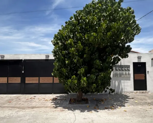 En Renta Departamentos Amueblados en San Isidro