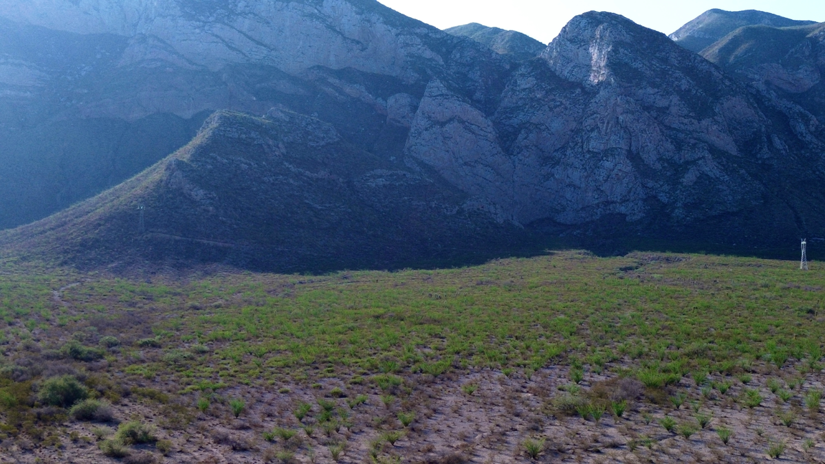 Terreno en venta en Monterrey, Lerdo — foto 1 de 11